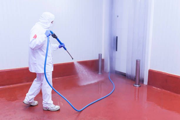 Boat and Dock Cleaning in Millen, GA