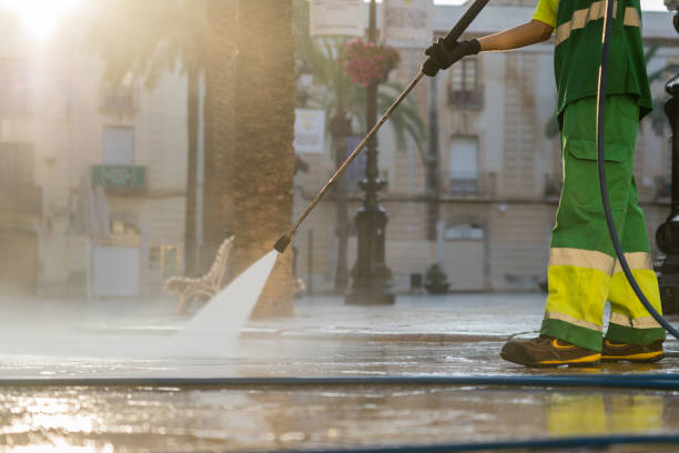 Best Animal Enclosure Cleaning  in Millen, GA